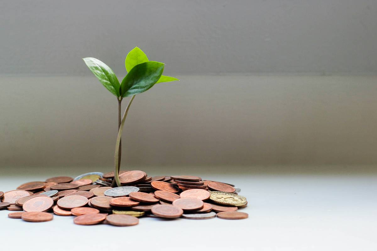 Principles for Responsible Investment: How Online Education Platforms Are Rethinking Risk Management